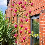 Igloo Magnolia Luxe Townhouse I Free Parking Semesterbostad Leeds (West Yorkshire)
